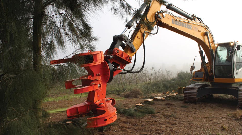 The Importance Of Processing Forestry Waste