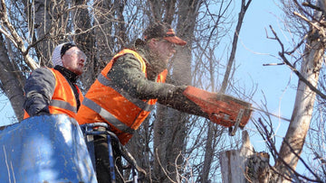 Safety Tips and Techniques For Successful Tree Felling