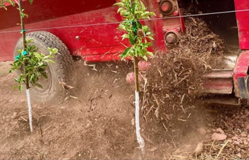 The Value of Mulch: Maintaining Soil Health for Sustainable Farming