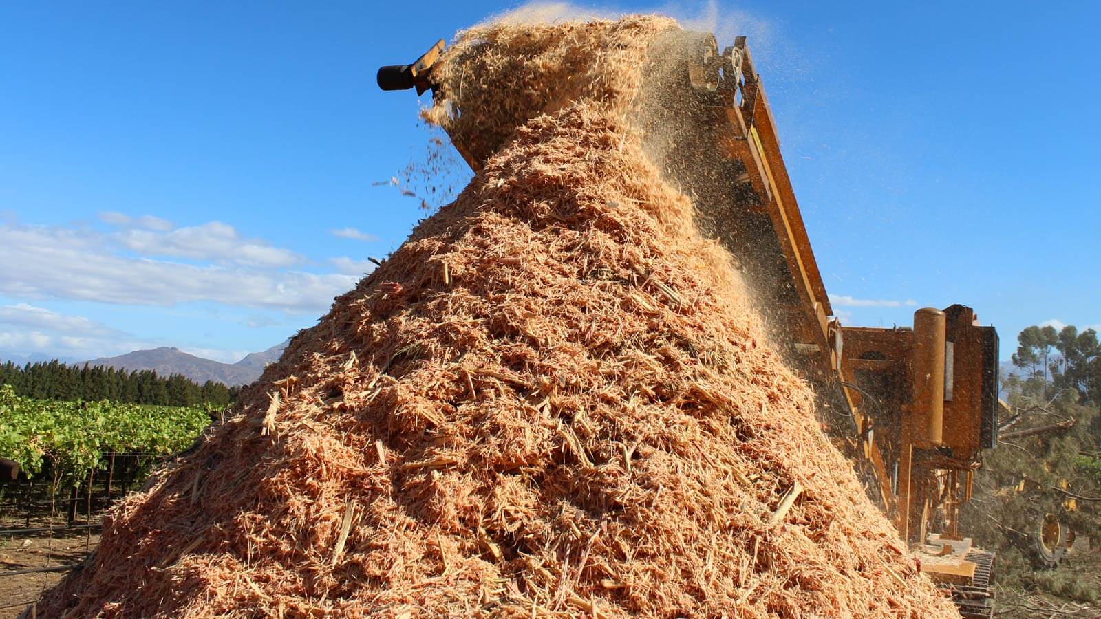 The Importance of Wood Chips and Biofuel