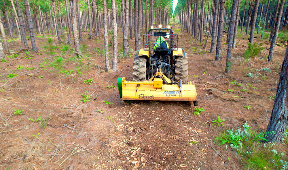 A Canopy of Knowledge: Focus on Forestry