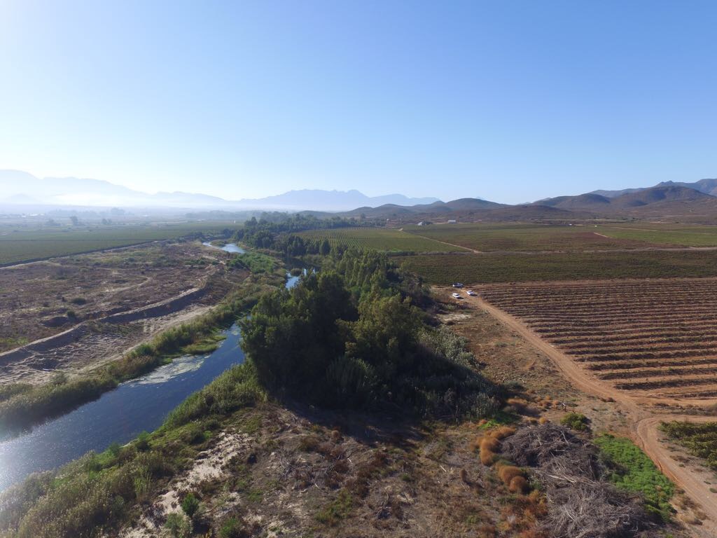 A river running through a field