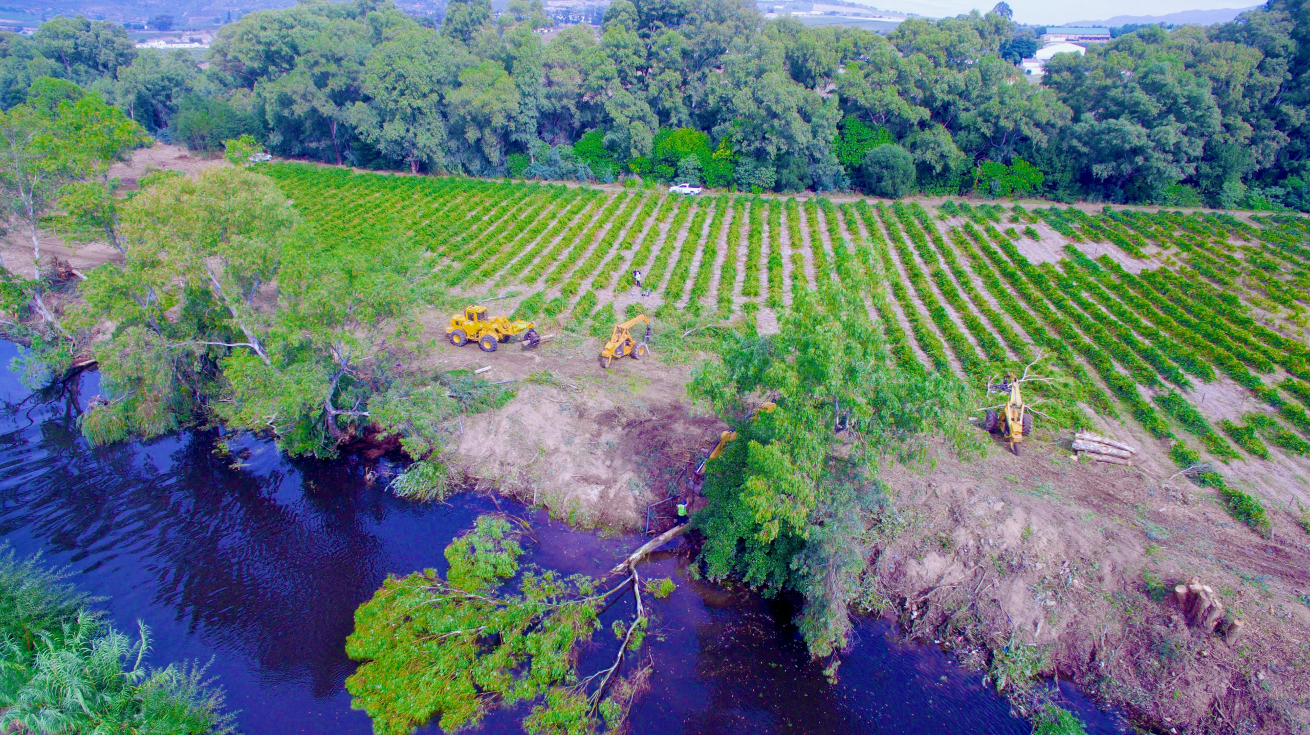 A group of tractors working in a field