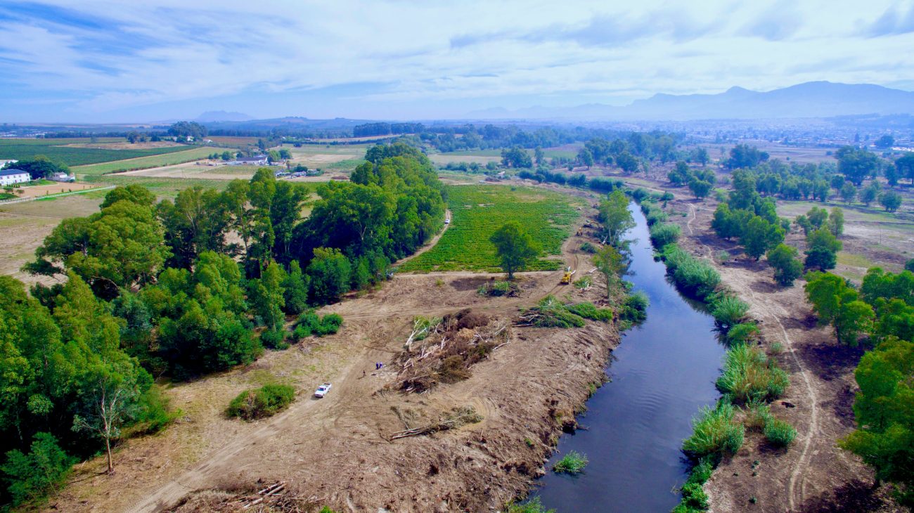 River rehab 4 services