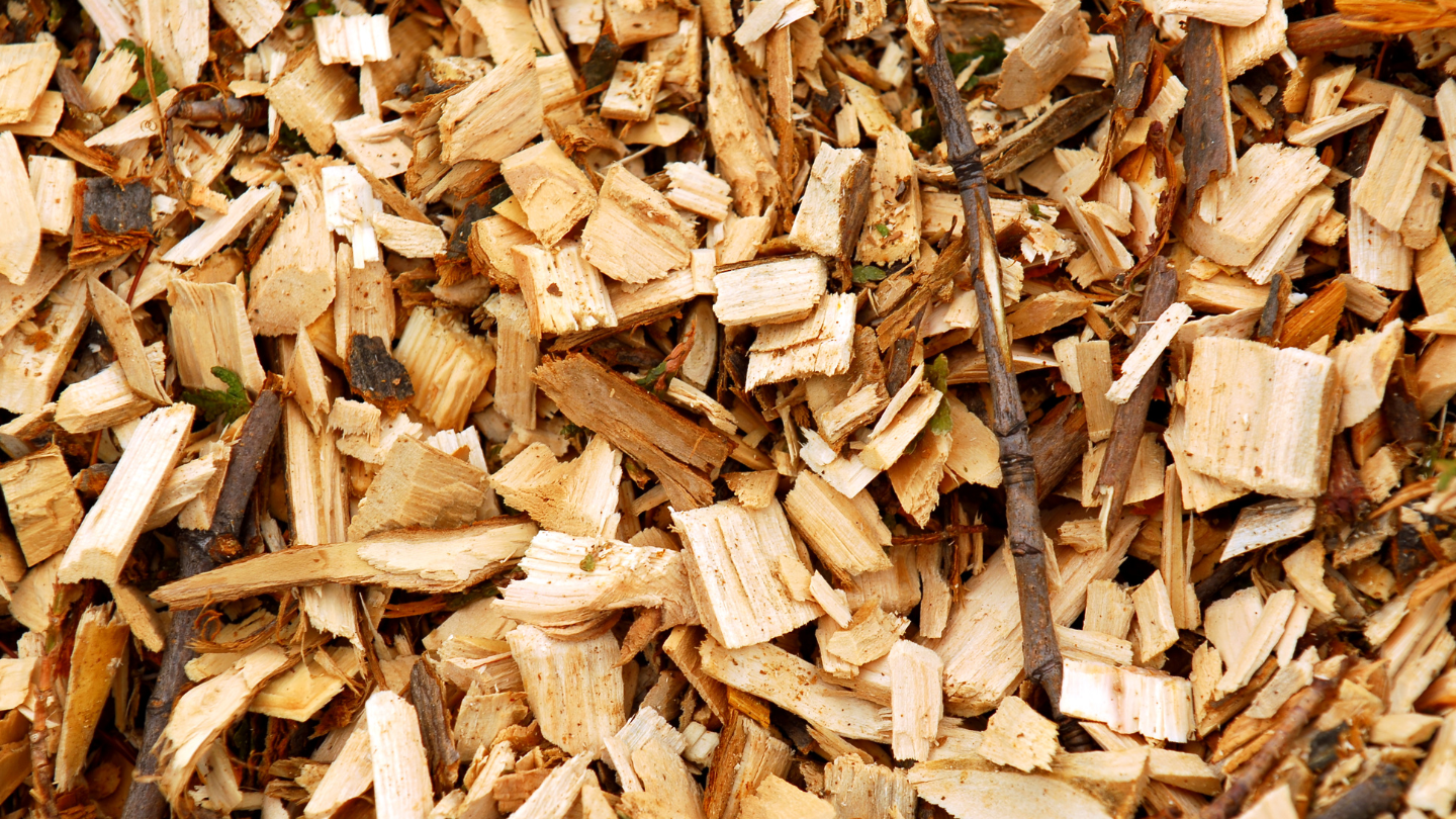 Untitled design 2024 07 05t104113. 011