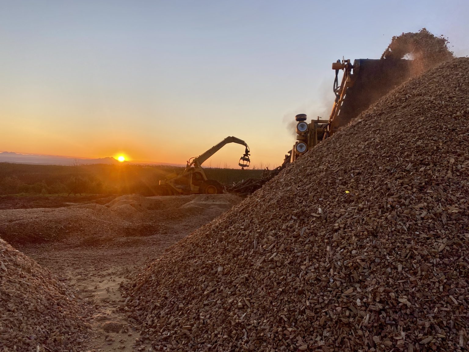 Africa Biomass Company - Leaders in the Biomass Industry