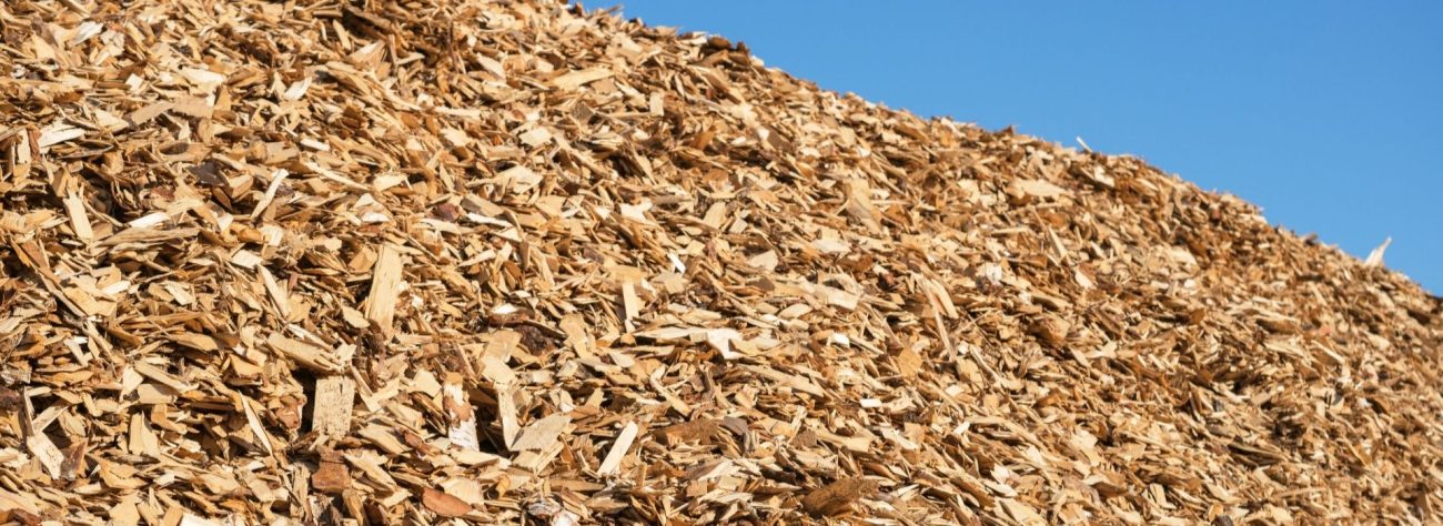 Biofuel Plant Manager