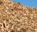 Biofuel Plant Manager