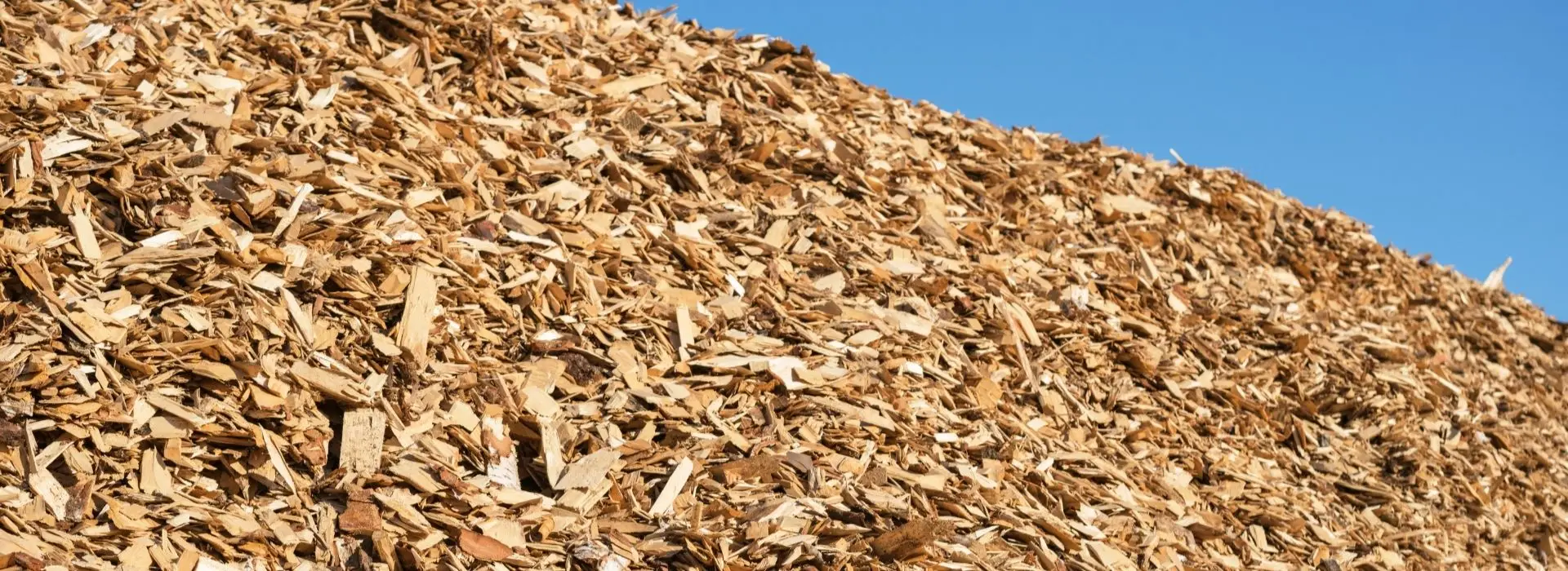 Biofuel plant manager