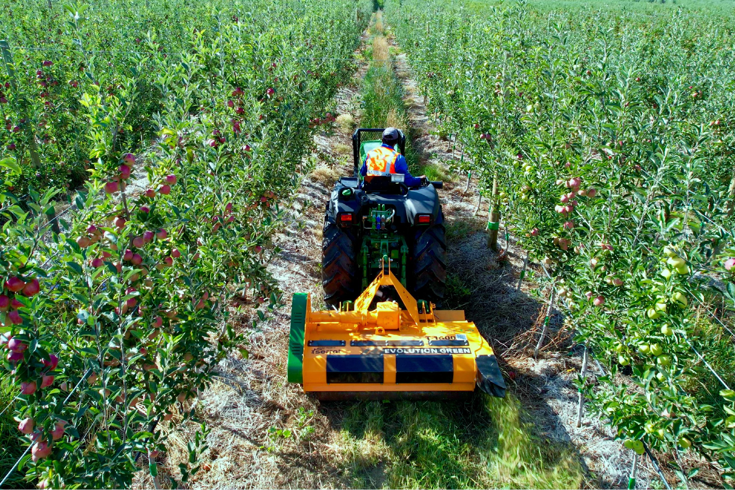 Serrat brand page 8 Evolution green 1 scaled 1